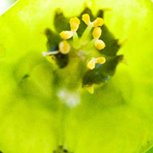 网络ddos监测分析工具